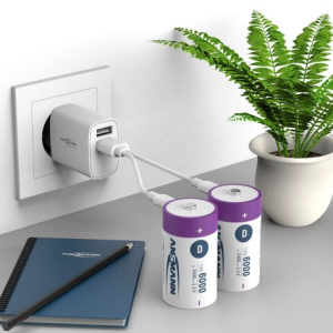 2 USB oplaadbare D 1,5V lithium-ion batterijen met USB-C kabel